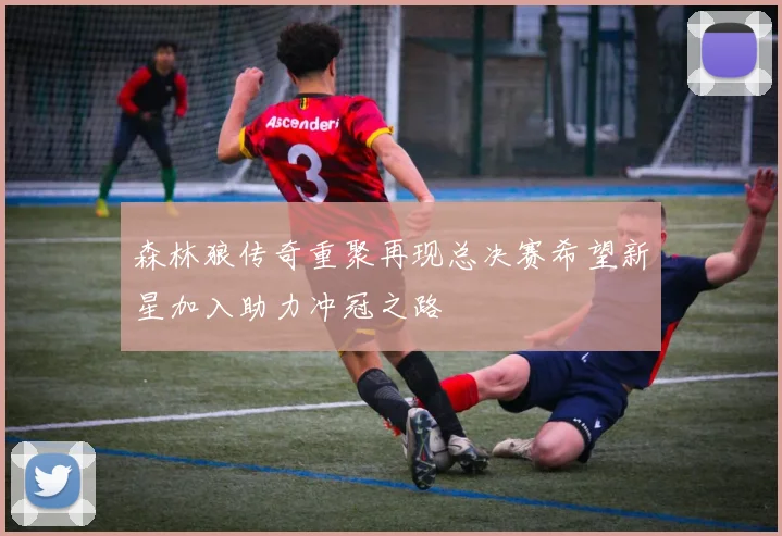 森林狼传奇重聚再现总决赛希望新星加入助力冲冠之路