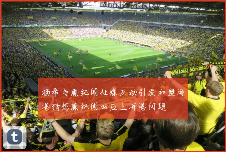 杨希与蒯纪闻社媒互动引发加盟海港猜想蒯纪闻回应上海港问题